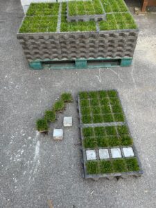 Pour vos places de stationnement, pensez aux dalles engazonnées ! - photo 2