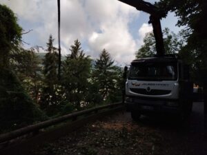 Levage d'un arbre bloquant l'usage de la route d'accès à notre chantier - photo 3