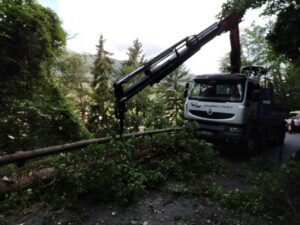 Levage d'un arbre bloquant l'usage de la route d'accès à notre chantier