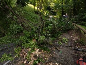 Levage d'un arbre bloquant l'usage de la route d'accès à notre chantier
